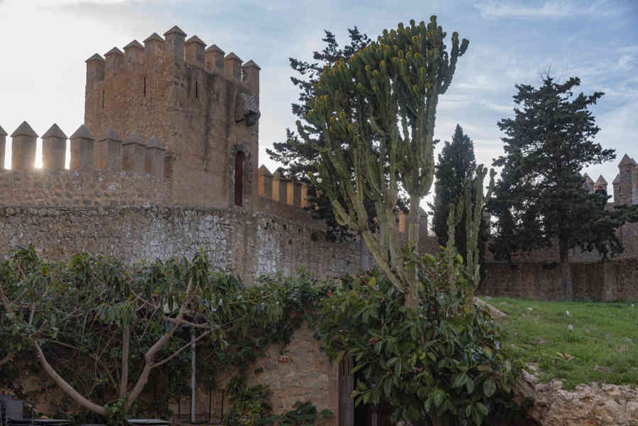Mallorca - Artà 06 - Almudaina de Artà.jpg